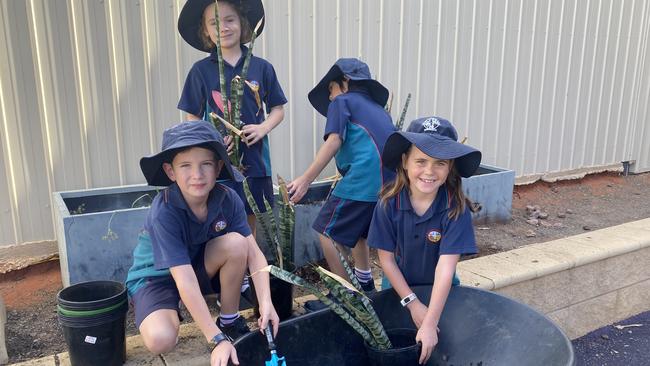 Students from St Barbara's Parish School in Roxby Downs, 500kms north of Adelaide, received a Woolworths Junior Landcare Fund in 2022 for a Science Club Veggie Garden. Picture: Supplied