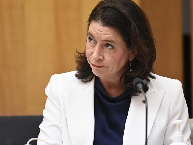 CANBERRA, AUSTRALIA, NewsWire Photos. OCTOBER 26, 2023: Senator Susan McDonald during an Economics Senate Inquiry at Parliament House in Canberra. Picture: NCA NewsWire / Martin Ollman