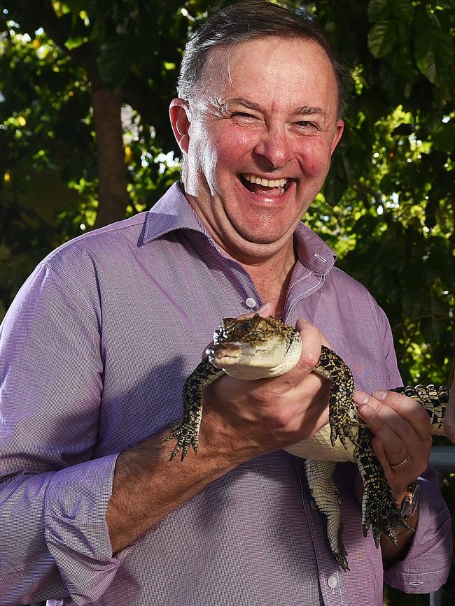 Anthony Albanese during a recent trip to Darwin with 'Fluffy' the croc.