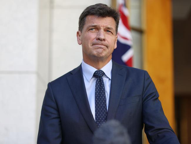 Energy Minister Angus Taylor will reject calls by Britain and the US to phase out all coal-fired power generation by 2030.