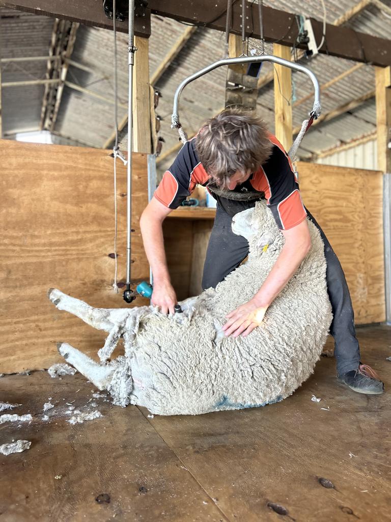 Dillon Schmaal was passionate about shearing, fishing and golf. Picture: Supplied by family