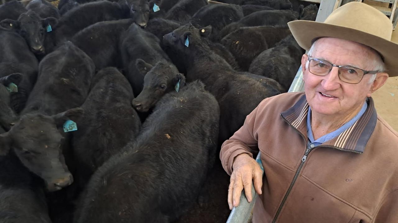 Northern demand lifts steer prices at Wodonga