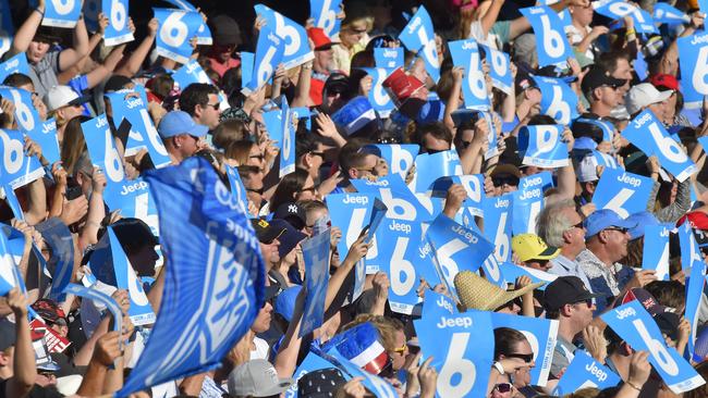 Crowds have been lapping up the Big Bash League.
