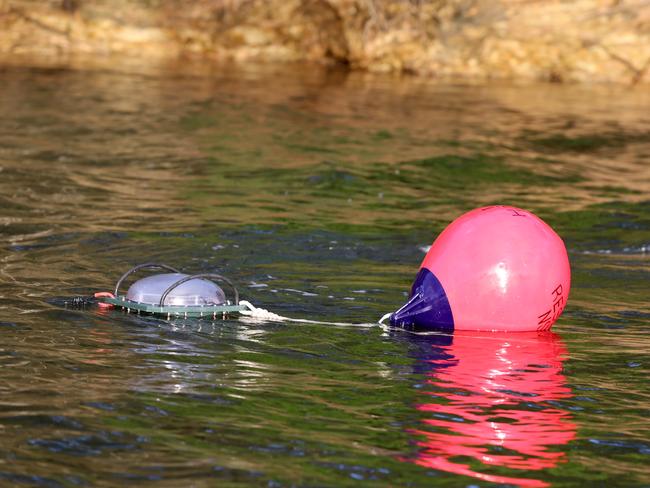 DPI test smart shark drum lines in the Bellinger River near Coffs Harbour. Picture: Nathan Edwards