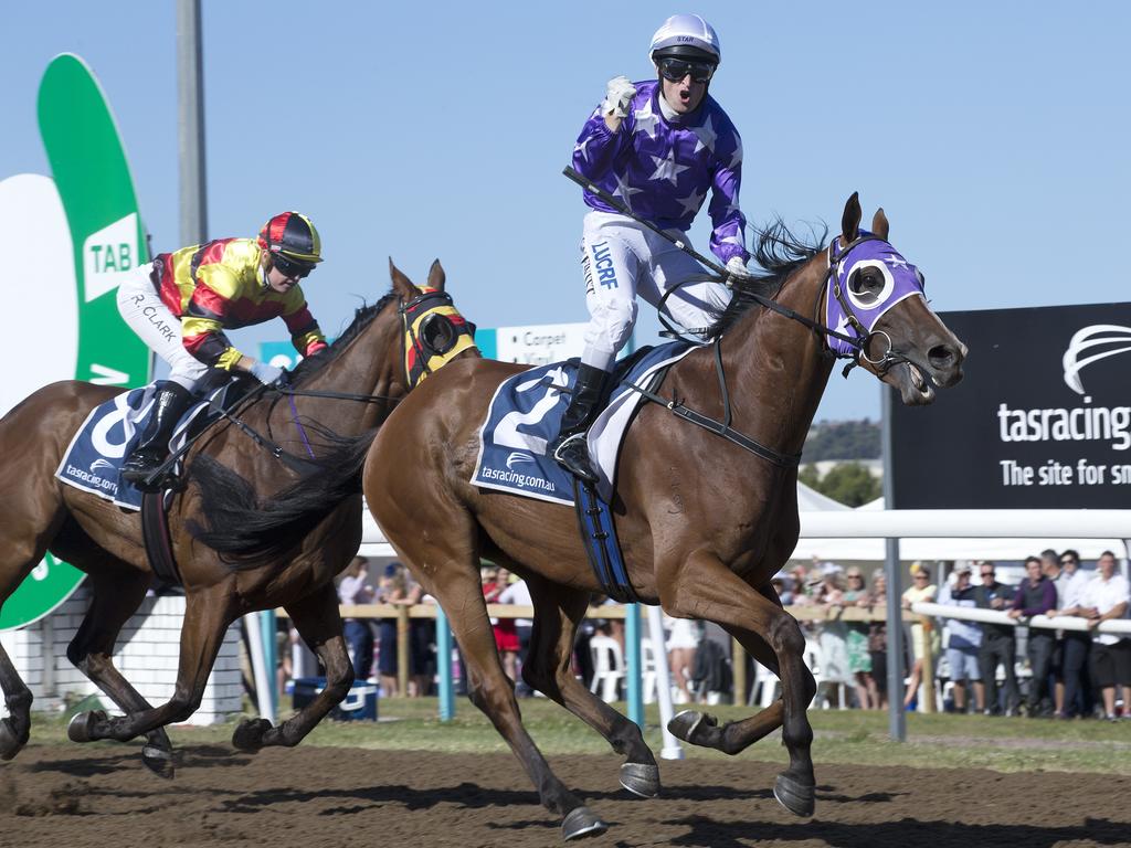 Eastender ridden by Craig Newitt wins the Devonport Cup. Picture: CHRIS KIDD