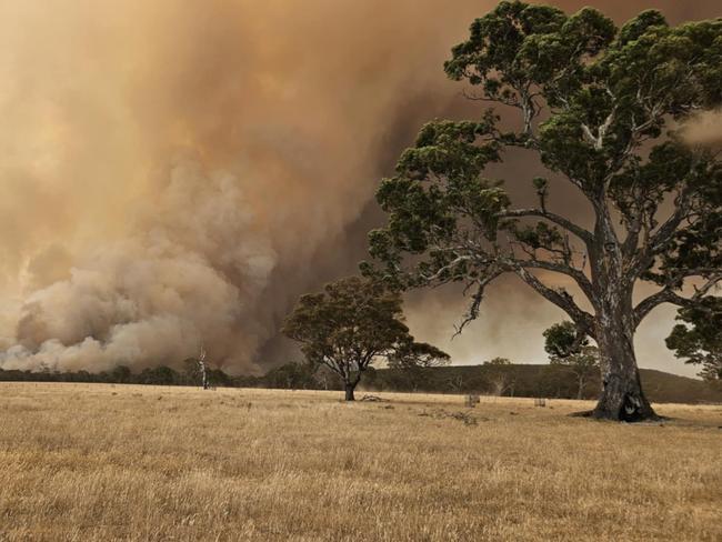 The Victorian Country Fire Authority warned it could take weeks to put out the fire. Picture: Ararat Fire Brigade Facebook