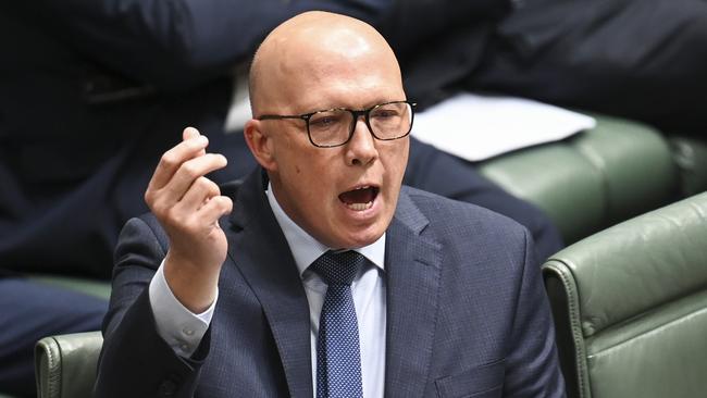 Opposition Leader Peter Dutton. Picture: NCA NewsWire/Martin Ollman