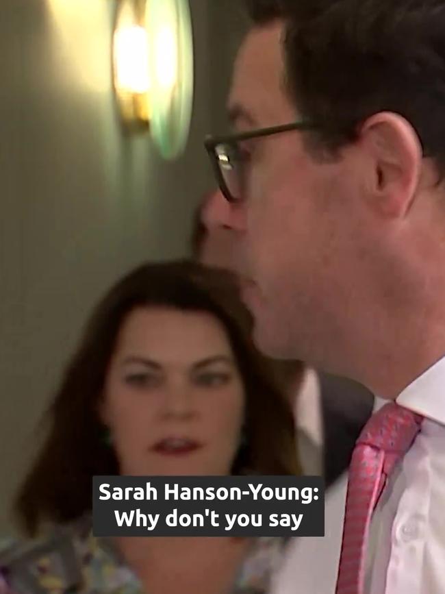 Sarah Hanson-Young interrupts the Littleproud doorstop.