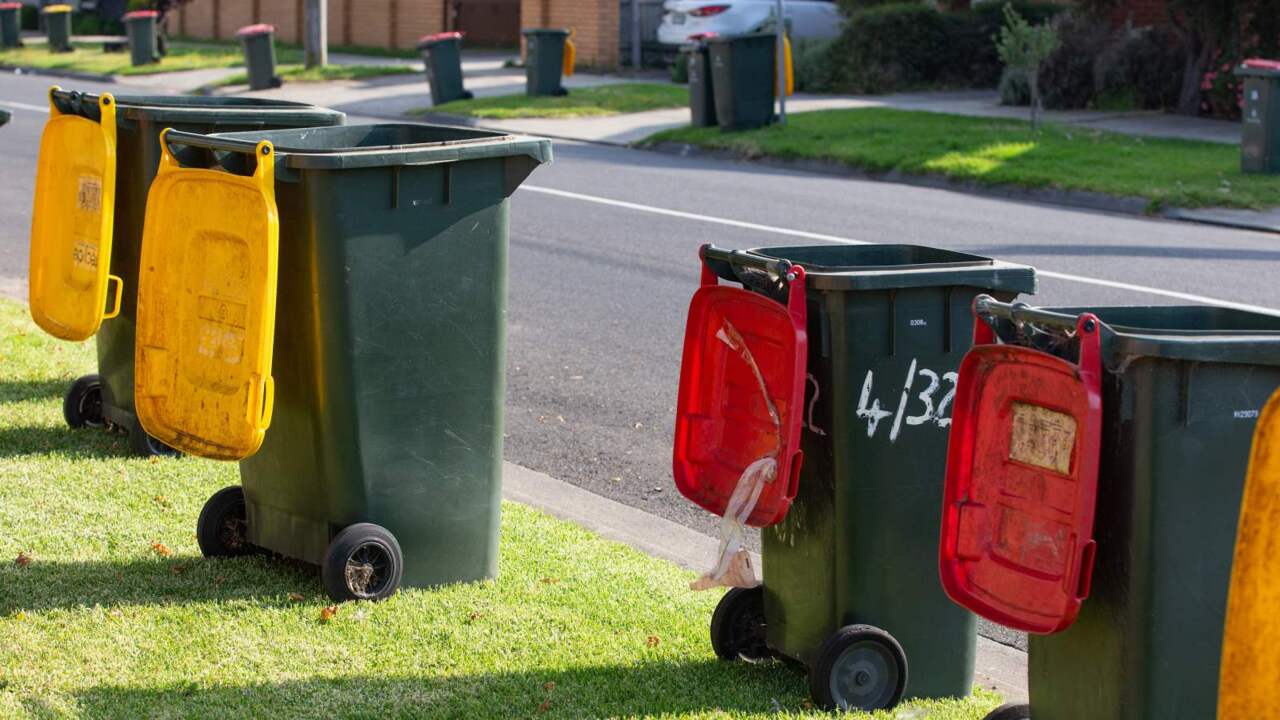 Nearly two-thirds of Australian households admit to wasting food