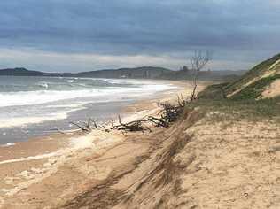 IMPACT: Erosion at One Tree, Wooli Beach, from the past weather event to hit the Clarence Valley. Picture: Caitlan Charles