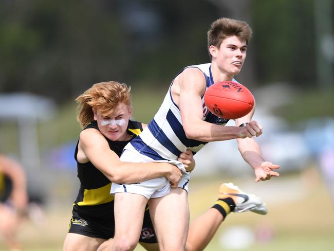 QAFL Colts 2021 Grand Final. Labrador Tigers v Broadbeach Cats. Photo: Deion Menzies