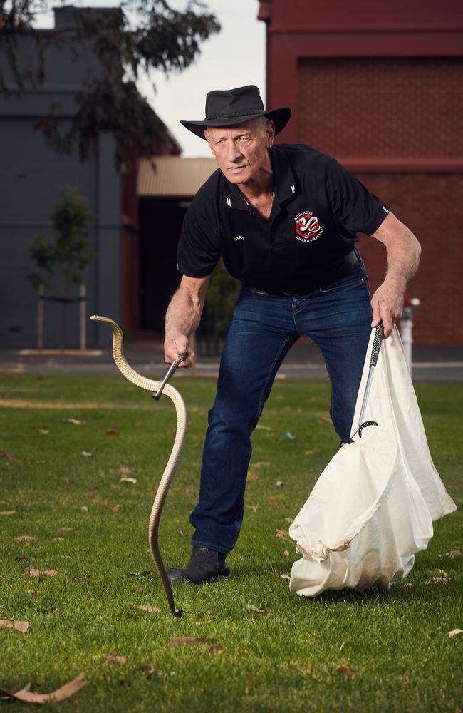 Rudy Della-Flora does his thing at the Royal Adelaide Showgrounds. Picture: Matt Loxton