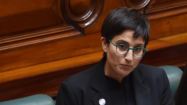 Greens MP Gabrielle de Vietri durinng Question Time. Picture: Nicki Connolly