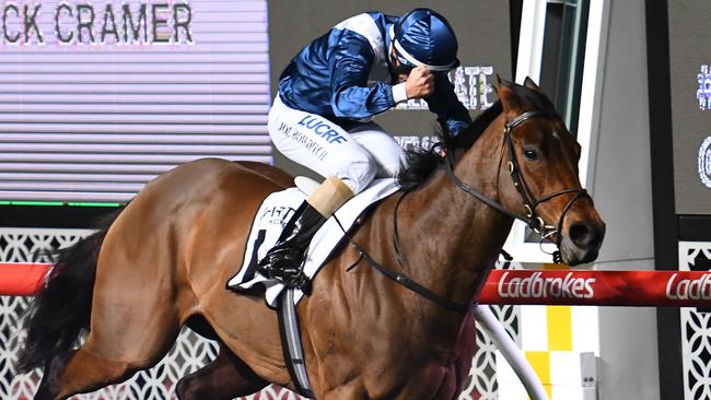 Joe Bowditch rides Viddora to victory in the Moir Stakes at Moonee Valley last month. Picture: Vince Caligiuri/Getty Images