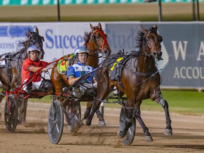 Luke McCarthy will partner with Don Hugo in the TAB Eureka. Picture: Dan Costello