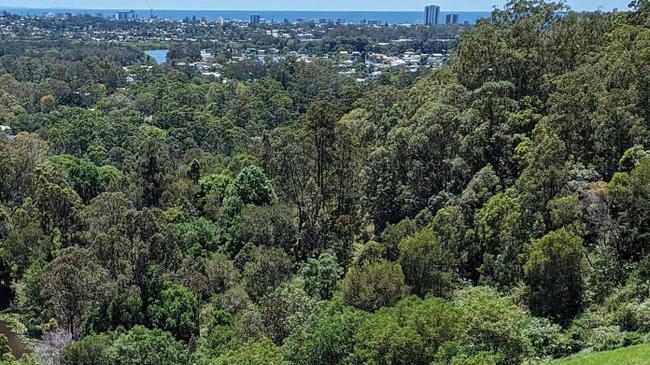 Views of the coastline from the Currumbin Eco-Parkland.