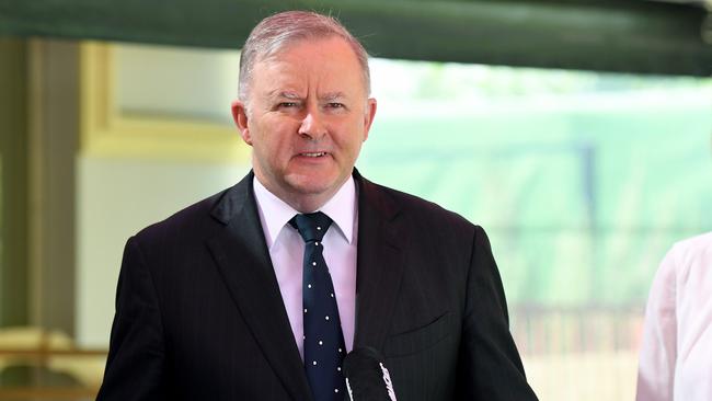 Mr Albanese will likely face a fresh surge from the Greens next year. Picture: NCA NewsWire/Bianca De Marchi