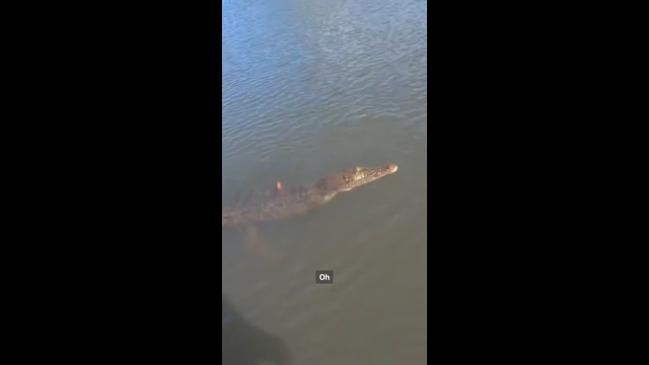 Aussie fisherman accidentally reels in a croc | news.com.au — Australia ...