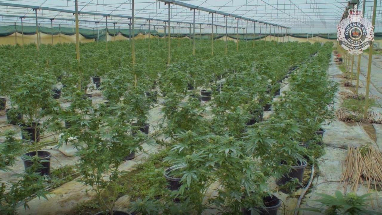 Five people have been charged with drug offences, after detectives seized cannabis plantations worth an estimated street value of $1.7 million from two rural west of Ipswich.