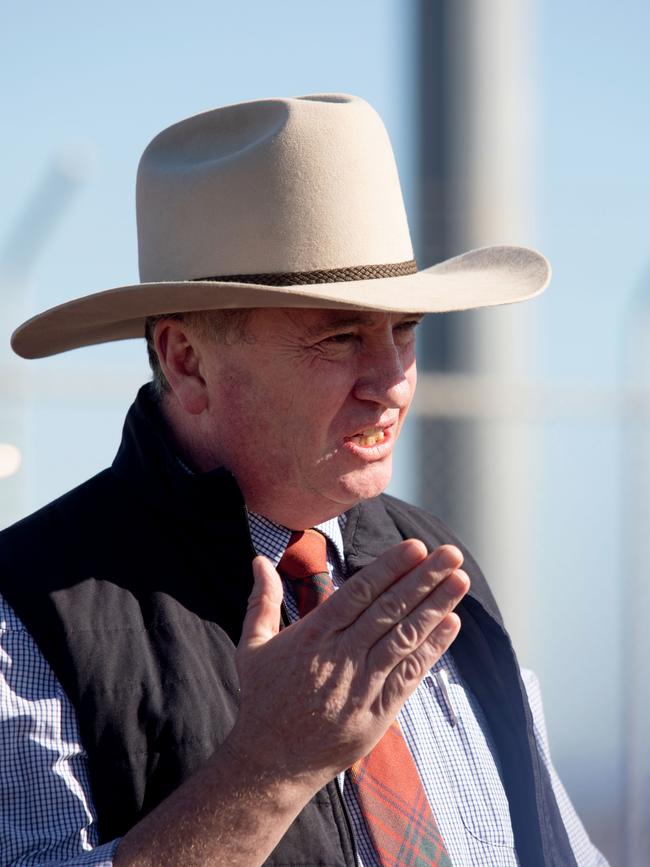 Deputy PM Barnaby Joyce. Picture: Steve Vit