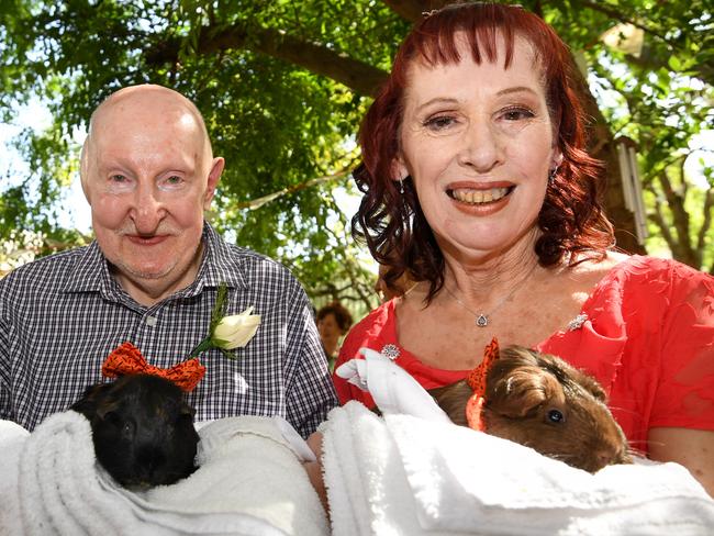 Lovebirds Alana Kirk and Norman Kingston with Chucky and Milo.