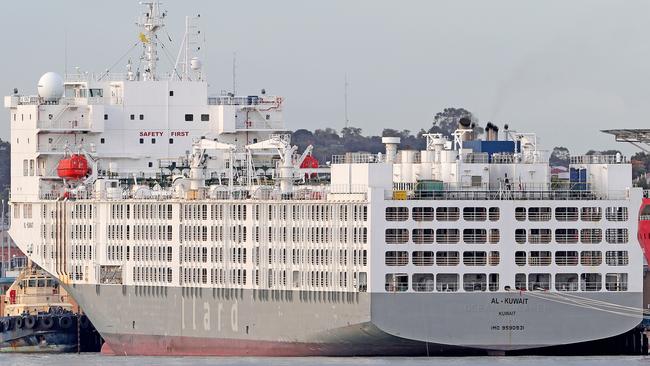 The Al Kuwait live-export ship docked in Fremantle harbour on Tuesday. Picture: AAP