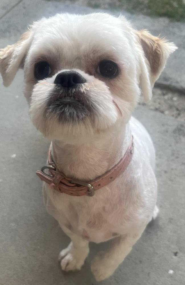 Millie was beloved by her family. Picture: Facebook.
