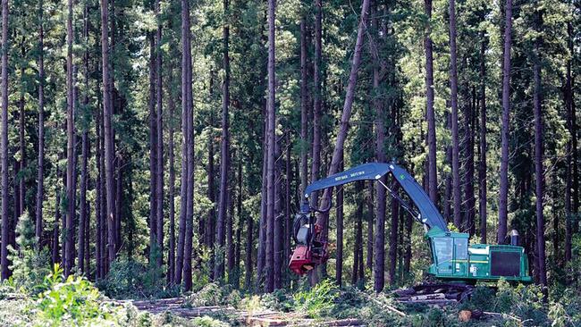 South East forestry operations. Picture: OneFortyOne Plantations.