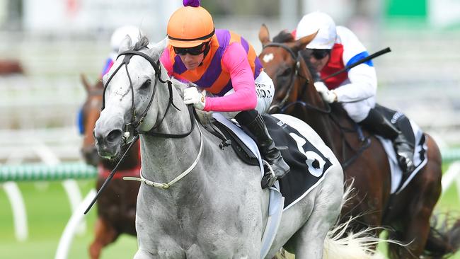 Twilighter scored a good win at Eagle Farm. Picture: AAP