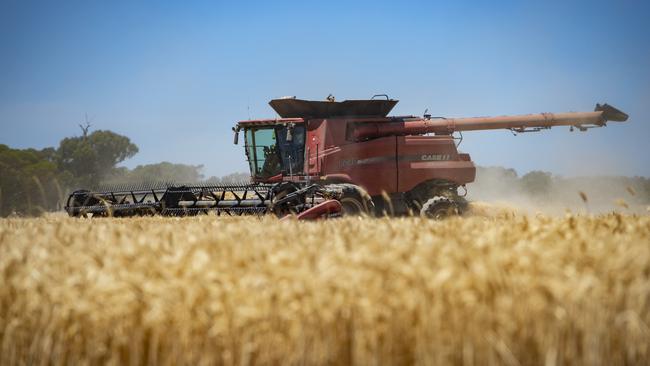 A Case IH harvester working last year’s grain harvest. Picture: Zoe Phillips