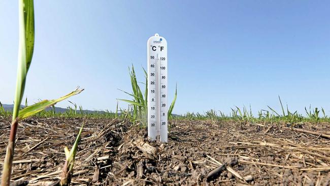 HEATWAVE: Temperatures soar in the North Burnett. Picture: Scott Powick