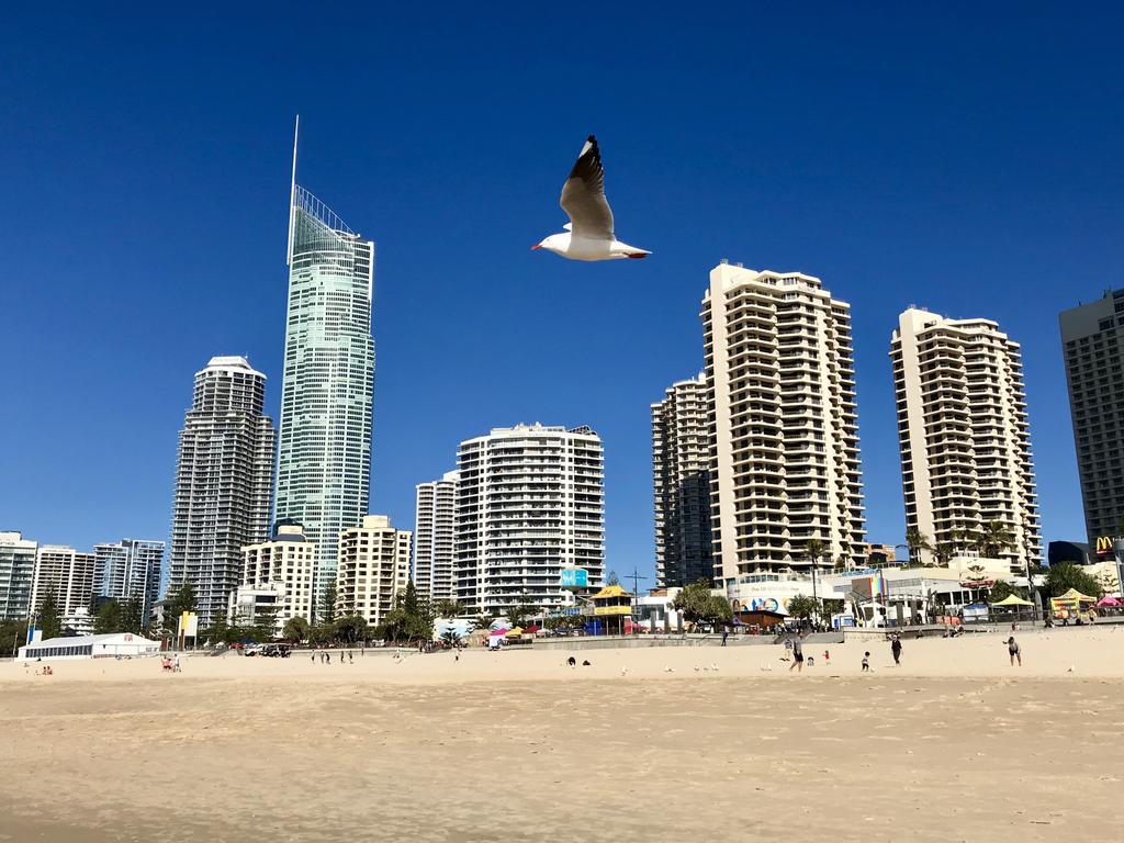 Surfers Paradise. Picture: David Montgomery