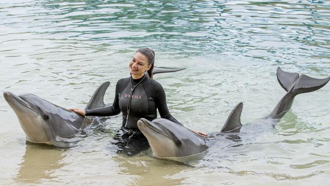 Marine Mammal trainer Brooke Pelizzari with dolphins at sea World as the government unveiled $95 million for theme park support. Picture: Jerad Williams