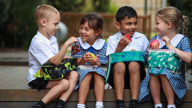 Principal of St Kieran’s Catholic Primary School in Manly Vale Michael Gallagher said healthy food was good for learning. Picture: Justin Lloyd.