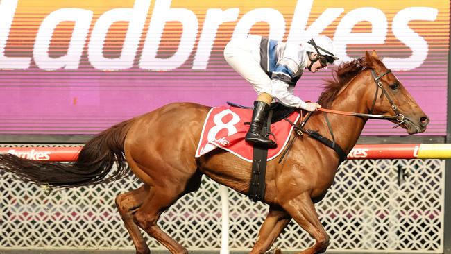 Gambling companies including Sportsbet, Ladbrokes and Pointsbet will have to implement the new taglines. Picture: George Salpigtidis/Racing via Getty Images