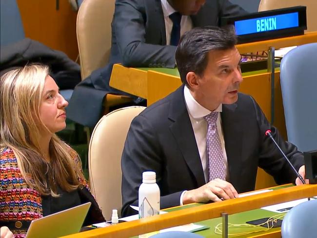 Australia's UN Ambassador James Larsen addressing the General Assembly 46th plenary meeting on December 3, 2024, at UN headquarters in New York. Picture: United Nations