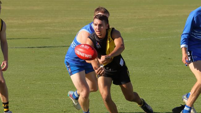 Sam Daniele in action for the Tigers. Picture: Matt Oborn