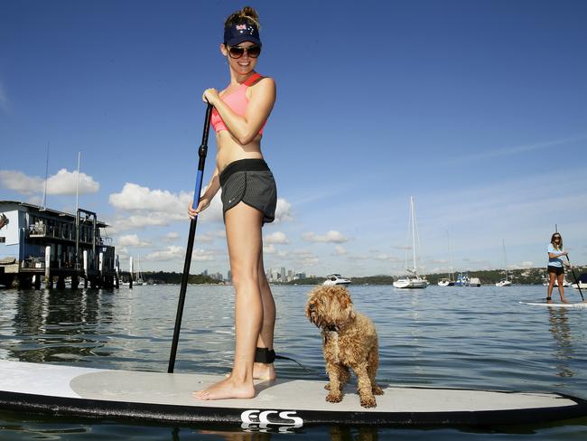 Elke von Wallbrunn with her dog Alfie on a paddle board at Watson's Bay. Picture: John Appleyard