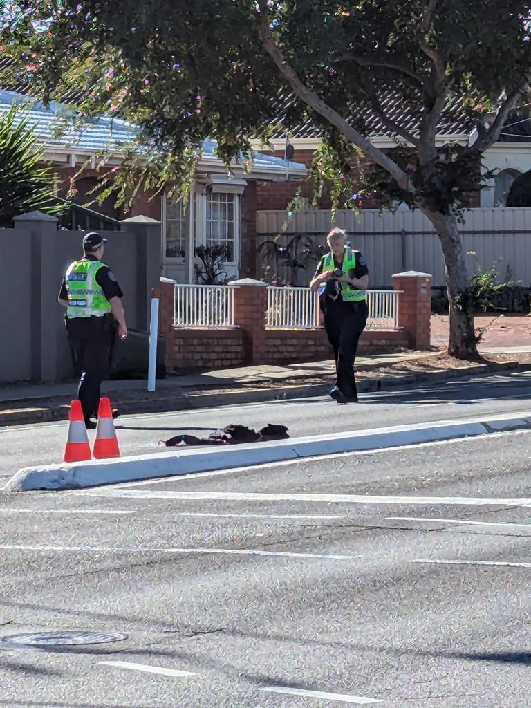 Police at the intersection of Montacute Rd and Forest Ave, Newton, where the crash occurred. Picture: Darren Chaitman