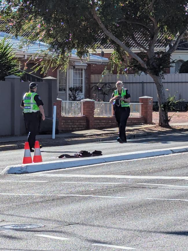 Police at the intersection of Montacute Rd and Forest Ave, Newton, where the crash occurred. Picture: Darren Chaitman