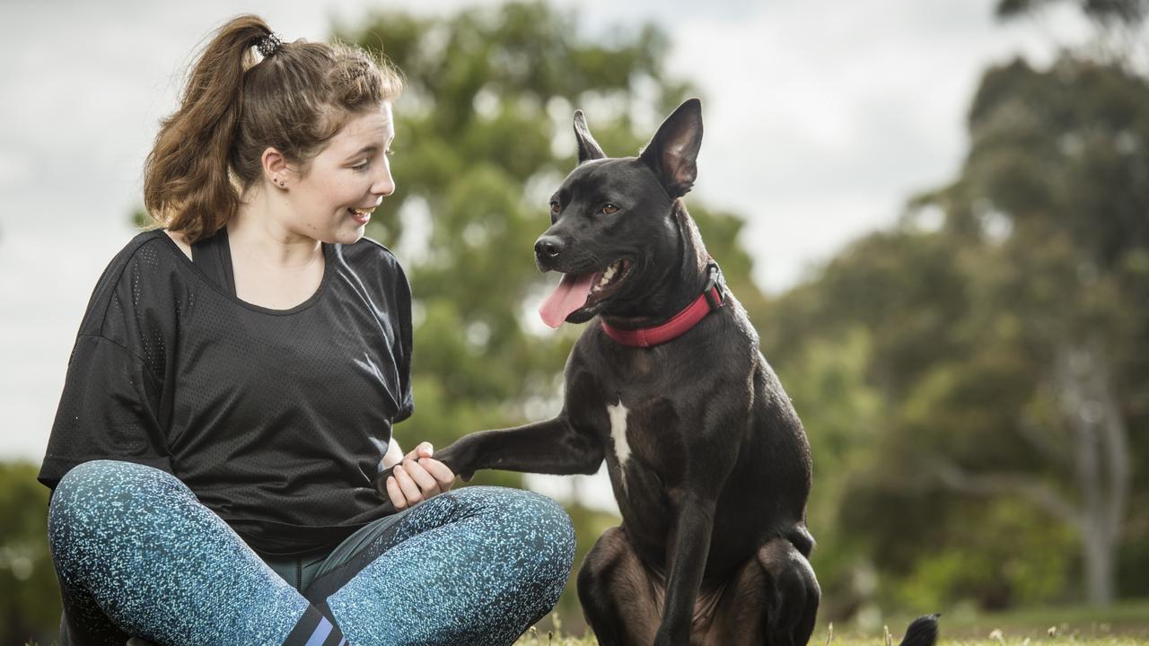 Caeleigh Smales with her rescue dog Dusty, promoting National Pet Adoption Day in 2019. Picture: Eugene Hyland