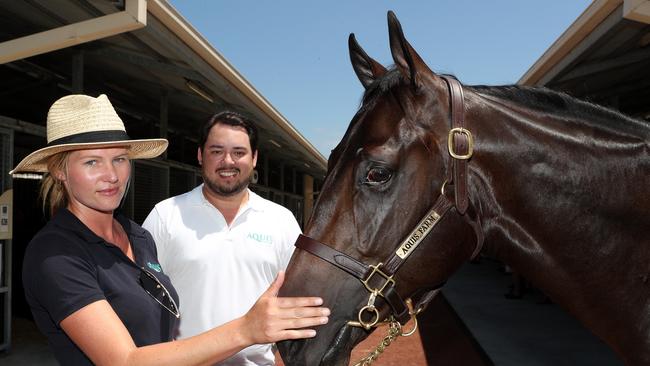 From the Aquis stable Kacy Fogden and Justin Fung with prized yearling Lot 419 hoping to sell for $400,000 at the Magic Millions horse sales on the Gold Coast yesterday. Picture: Scott Fletcher