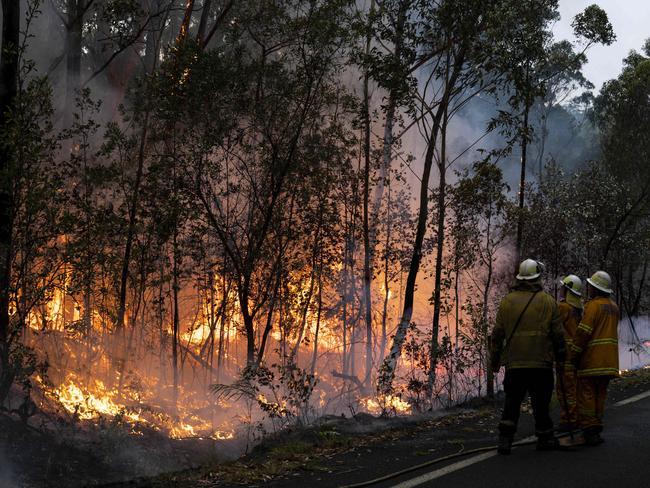 Princes Hwy Falling tress and spot fires Firefighters controlling fires near roadway between Sussex and Bendalong, NSW. Picture: Darren Leigh Roberts