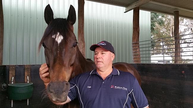 No yoke … chook farmer plucks up courage to take on Chris Waller in ...