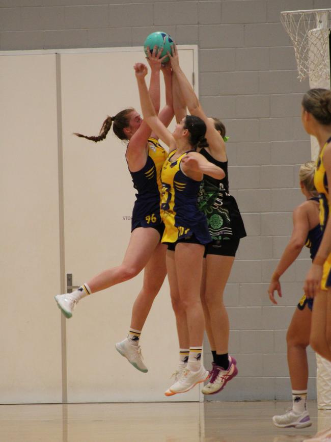 HART Sapphire Series round 1 2024 (Ruby league) Darling Downs Panthers v Bond University Bull Sharks Netball