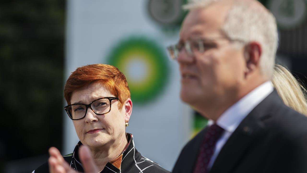 Marise Payne said the reports were extremely concerning. Picture: NCA NewsWire / Nikki Short