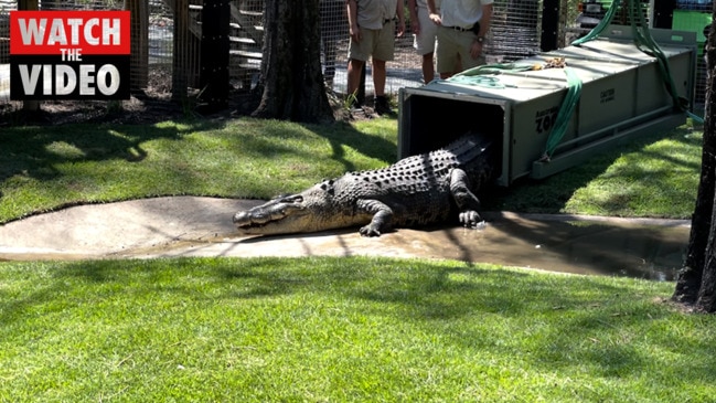 David Fleay Wildlife Park Weather