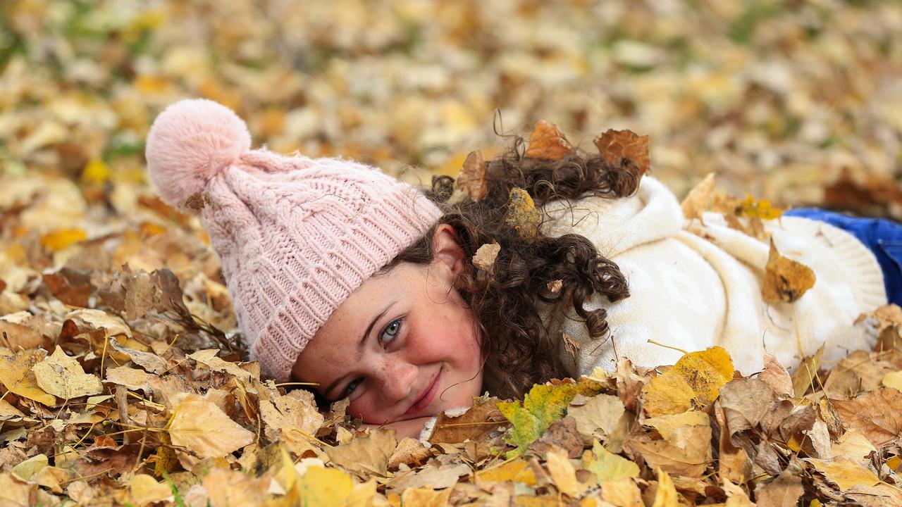Polly Egerton, 8, has some fun in the leaves as the weather turns cold in Ballandean. Picture: Adam Head