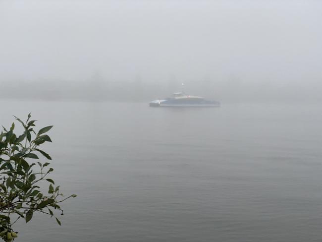 Thick fog also blanketed the river at Teneriffe. Picture: Kate Kyriacou