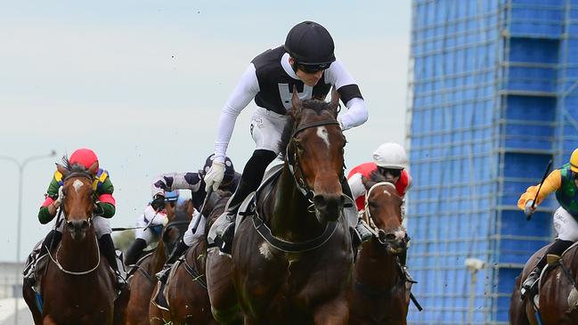 Niedorp winning a race at Doomben. Picture: Trackside Photography